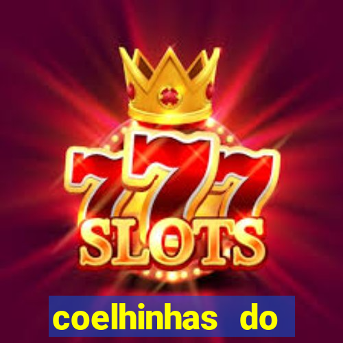 coelhinhas do brasil site