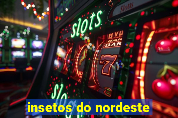 insetos do nordeste