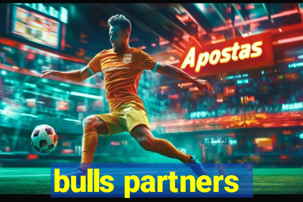 bulls partners