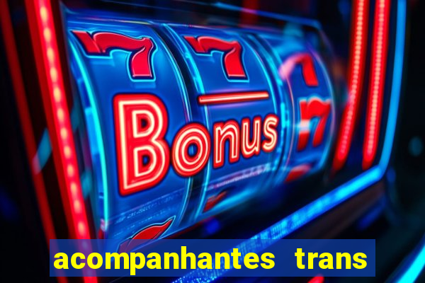 acompanhantes trans porto seguro