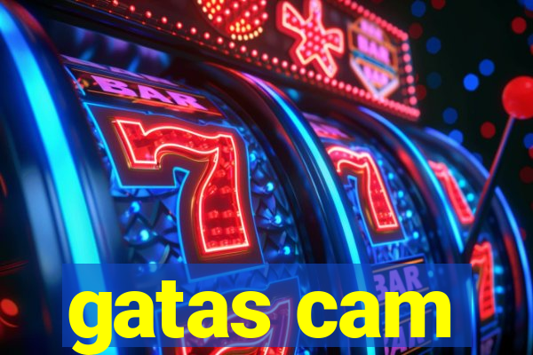 gatas cam