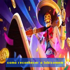 como reconhecer o lobisomem