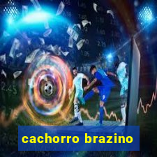 cachorro brazino