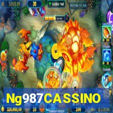 Ng987CASSINO