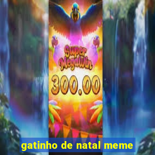 gatinho de natal meme