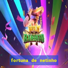 fortuna de netinho de paula