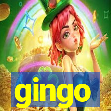 gingo