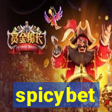 spicybet-1.com