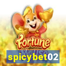 spicybet02