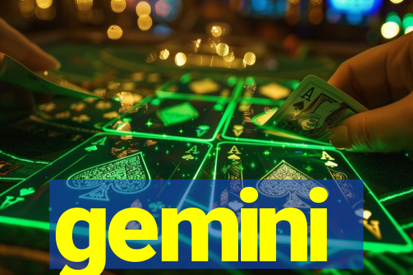 gemini-pp.com